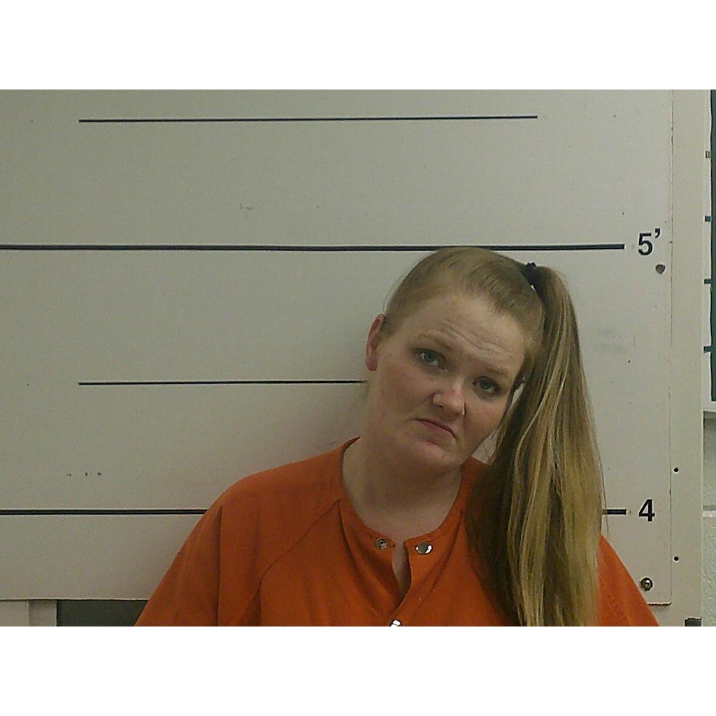 SASHA DEHART NICOLE 02/12/2022 - Boyd County Mugshots Zone