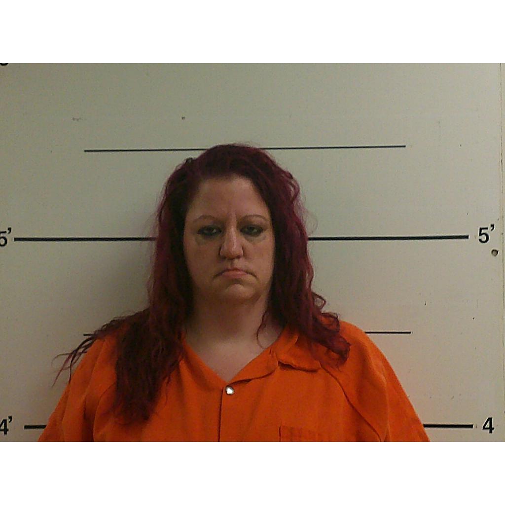 HEATHER DANIELS R Babed County Mugshots Zone