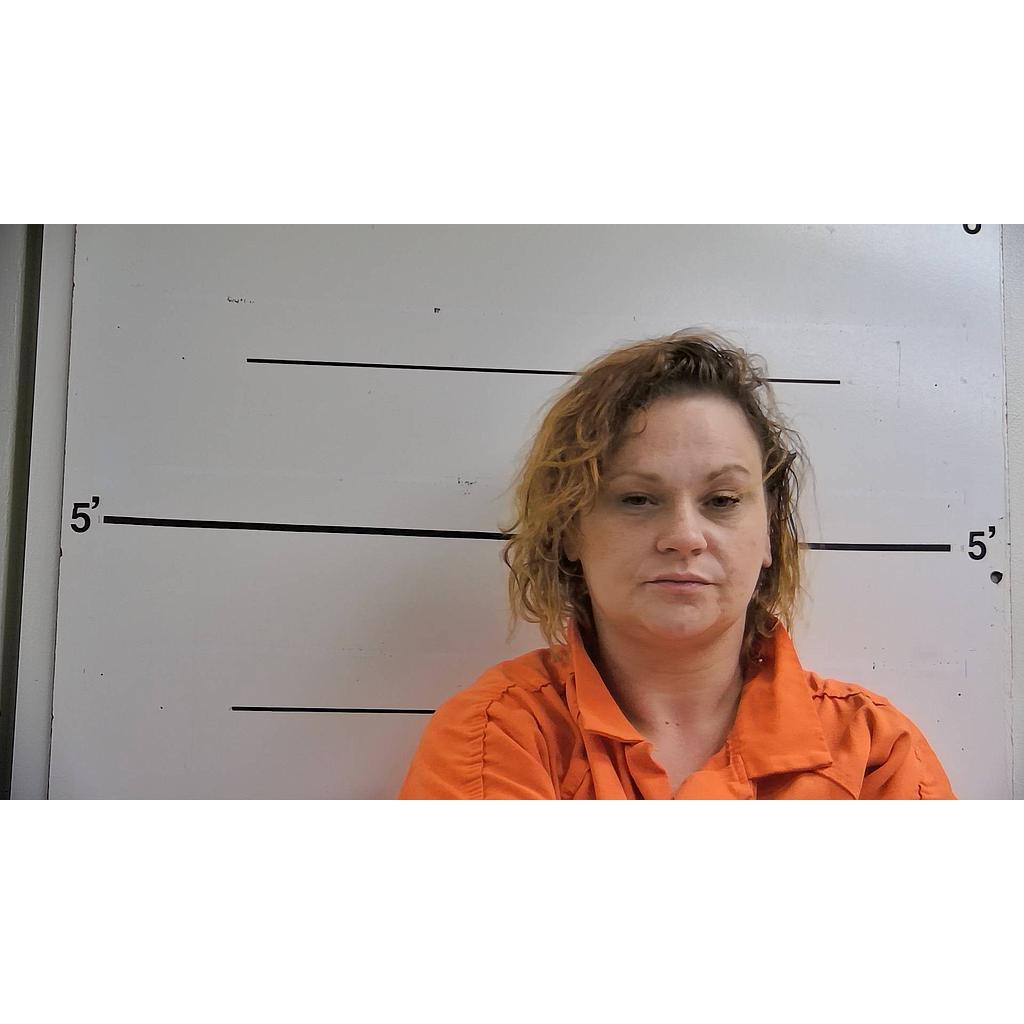 TONI BOBBITT M 06/05/2022 Boyd County Mugshots Zone