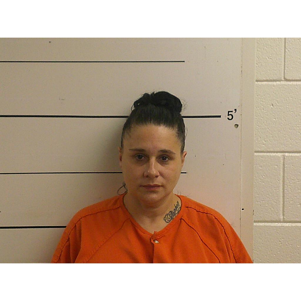 BAXTER VANESSA D 11/11/2022 Boyd County Mugshots Zone