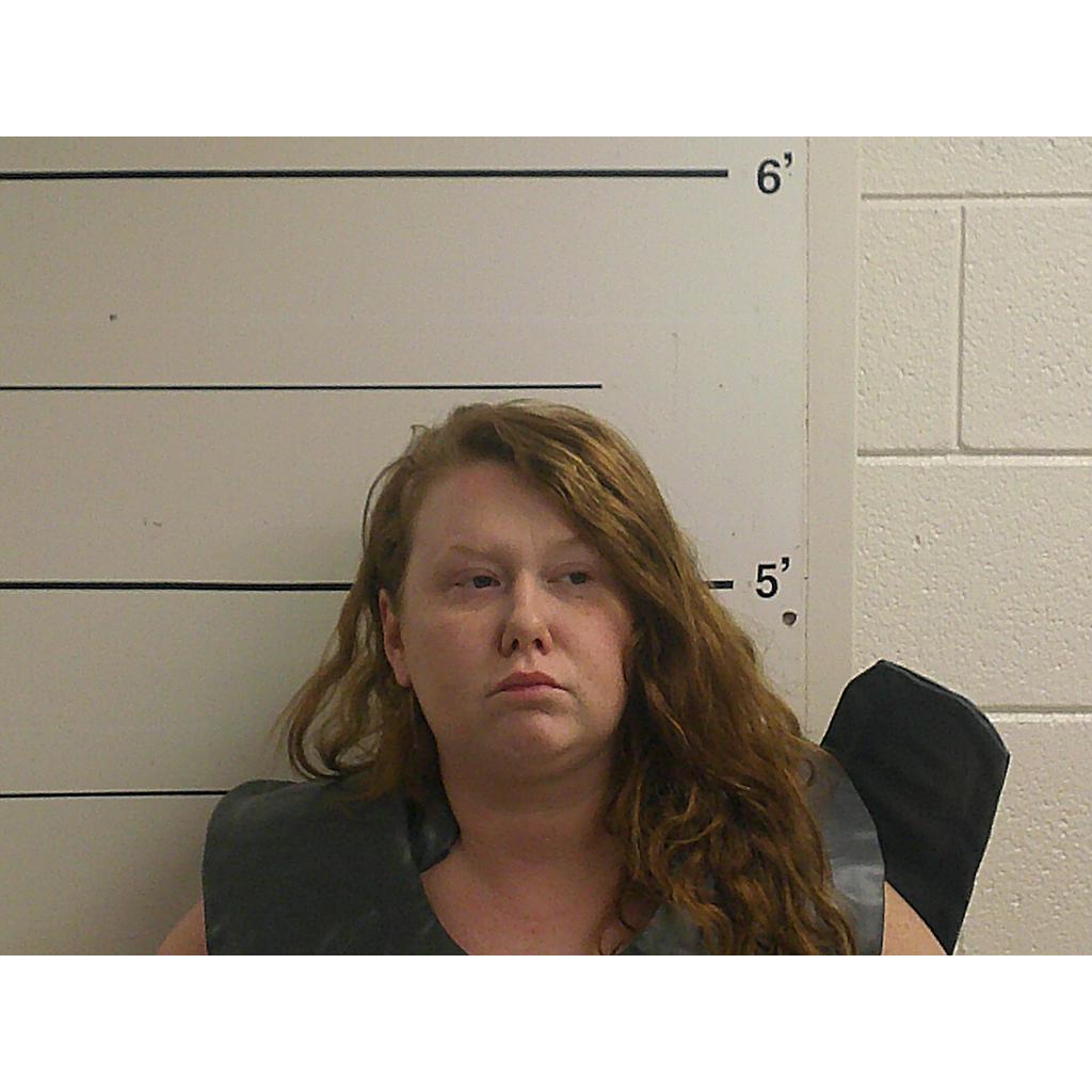 TOLSON ALLISON 11/28/2022 - Boyd County Mugshots Zone