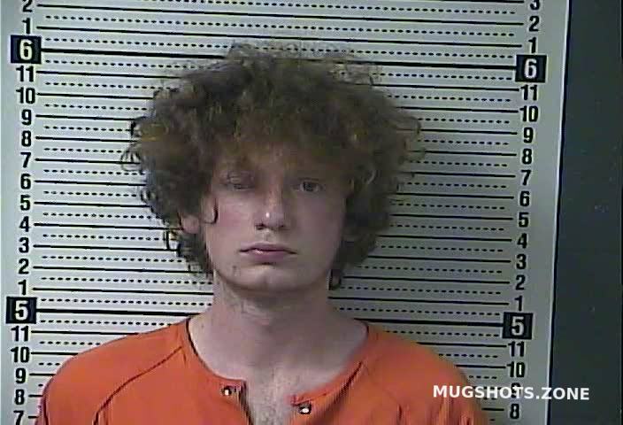 Busted mugshots boyle county ky