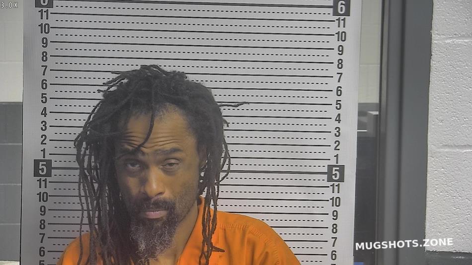 LYTTLE LASHAMBA 11/22/2023 Boyle County Mugshots Zone