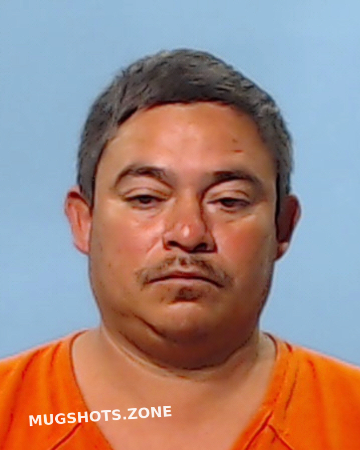 DELGADO ELISEO 01/02/2021 Brazoria County Mugshots Zone