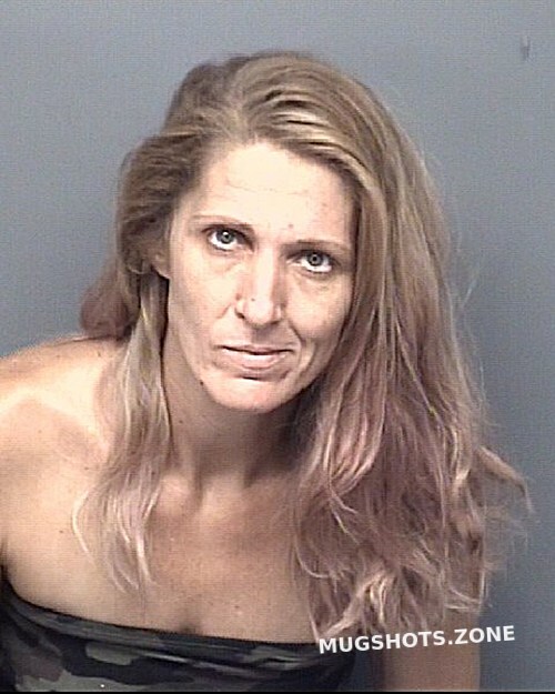 CANFIELD JESSICA BACK 06/26/2021 Brazoria County Mugshots Zone