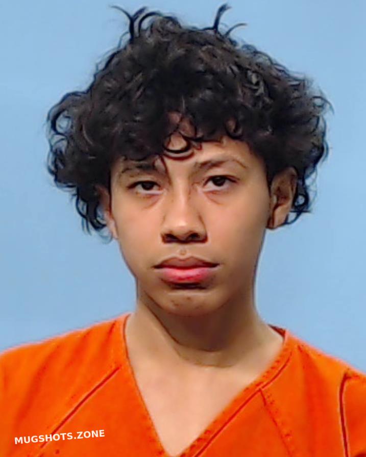 Alejandro Ortiz Luis 02 20 2022 Brazoria County Mugshots Zone