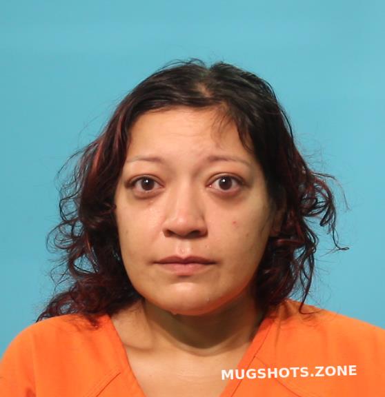 CHAVEZ EULALIA 08/29/2023 Brazoria County Mugshots Zone