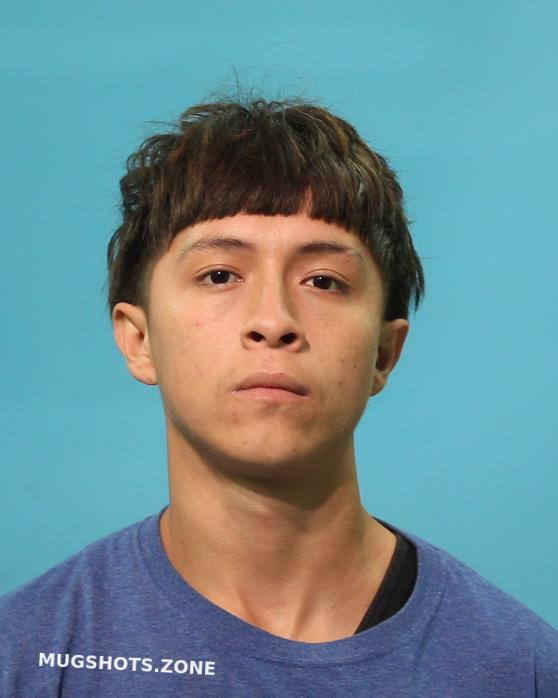 Arellano Alexander 05 14 2024 Brazoria County Mugshots Zone