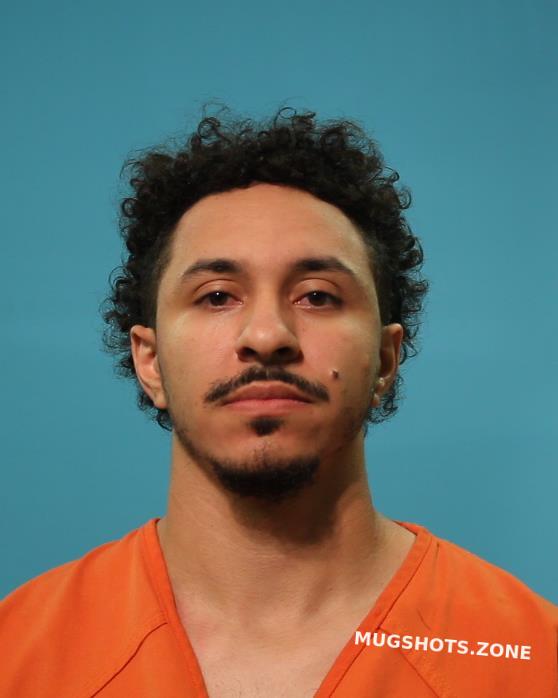 HAMILTON DAVID 10/20/2024 - Brazoria County Mugshots Zone