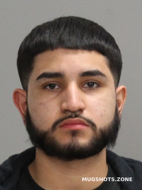 AMAYA MOISES DAVID 01/29/2021 - Brazos County Mugshots Zone