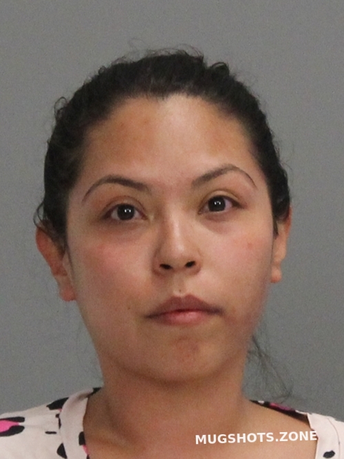 De Jesus Angelica 03 10 2021 Brazos County Mugshots Zone