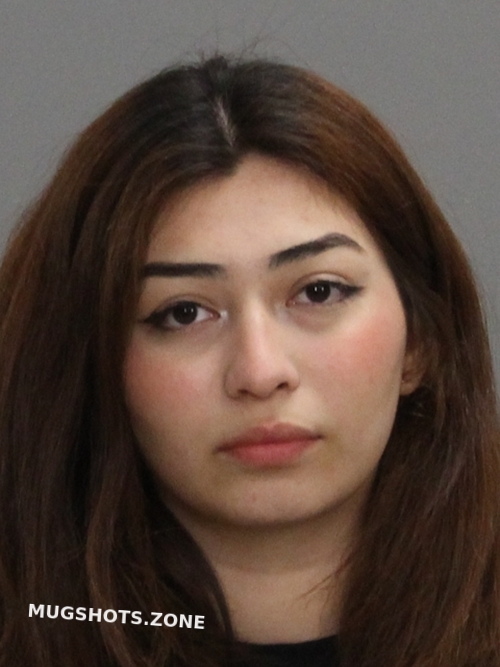 Saravia Cortes Gabriela Andrea 03 28 2021 - Brazos County Mugshots Zone