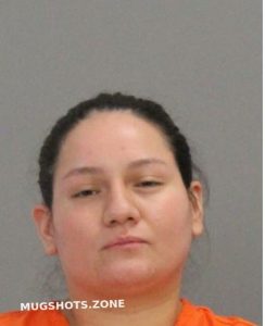 ALVARADO SYLVIA RENEE 01/10/2022 - Brazos County Mugshots Zone