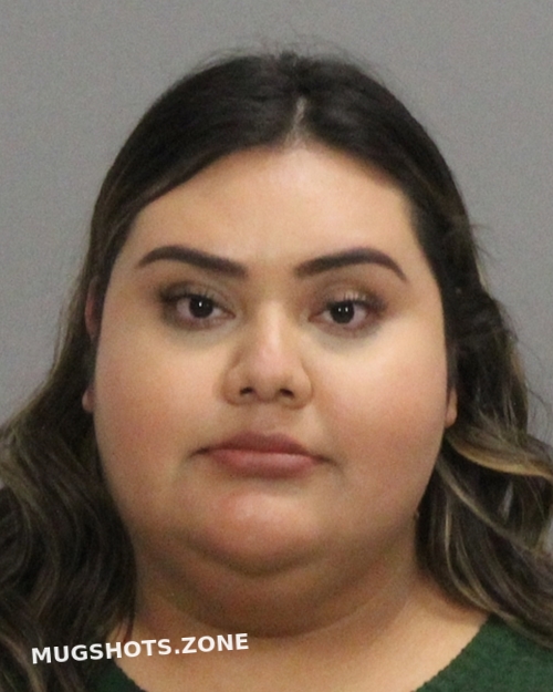 MALDONADO ALMA ELENA 01/16/2022 Brazos County Mugshots Zone