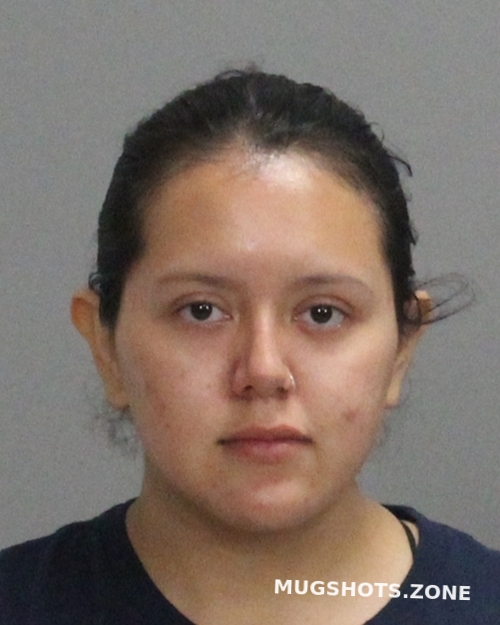 PORTALESHERNANDEZ GRISELDA 10/15/2022 Brazos County Mugshots Zone