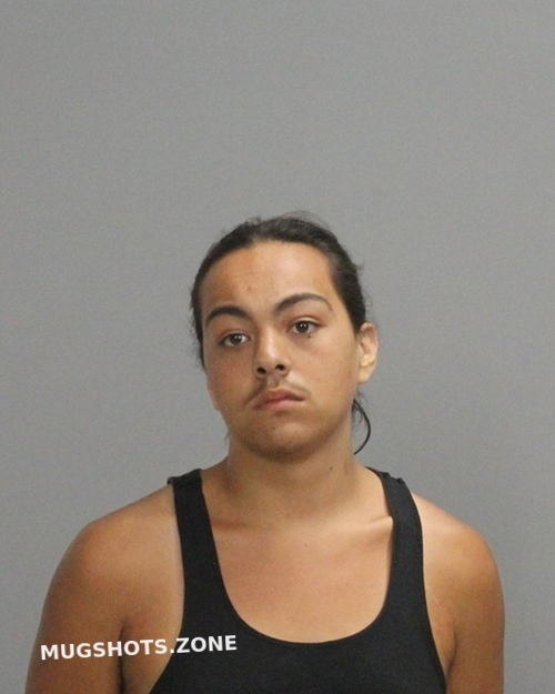 MEDRANO JACOB WESLEY 10/27/2022 Brazos County Mugshots Zone