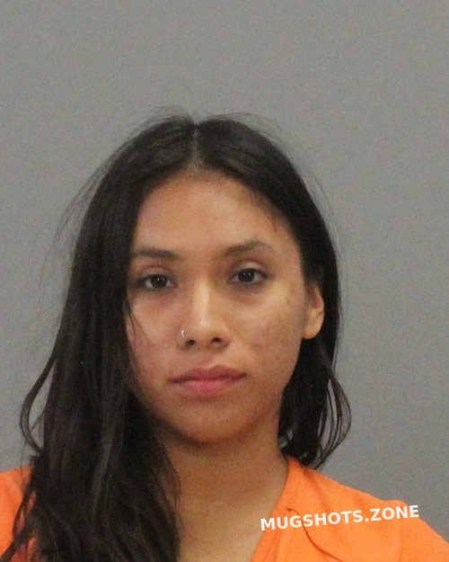 NAVA EMILY 10/30/2022 - Brazos County Mugshots Zone