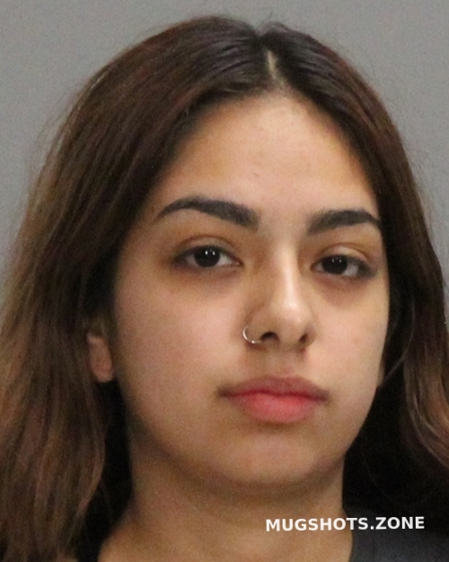 REYES ISABEL 01/03/2023 Brazos County Mugshots Zone