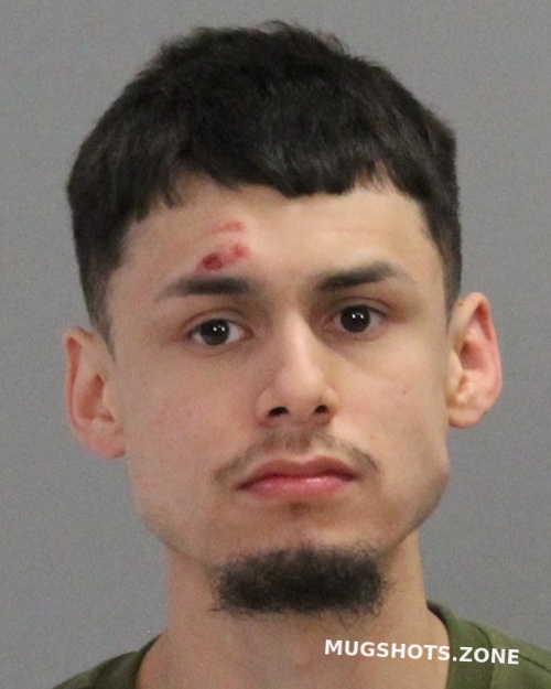 MEDEARIS GILES 01/15/2023 Brazos County Mugshots Zone