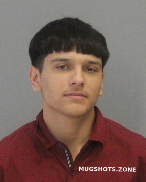 Alvarez Rey 06152023 Brazos County Mugshots Zone