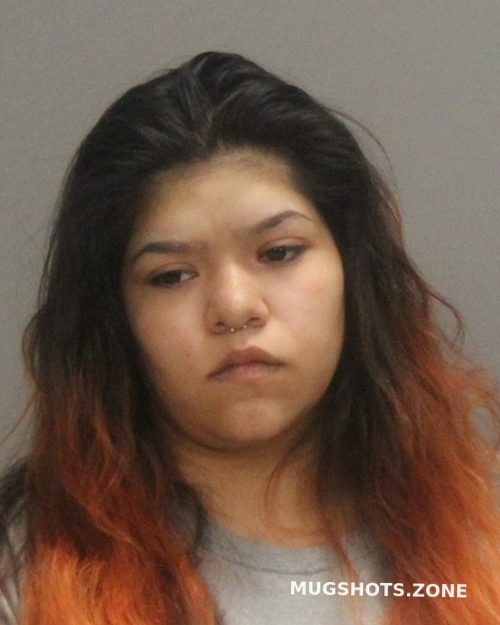 Sosa Alyssa 07 14 2023 Brazos County Mugshots Zone