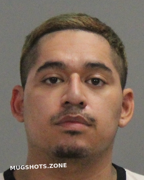 RICO GAVINO 08/24/2023 Brazos County Mugshots Zone