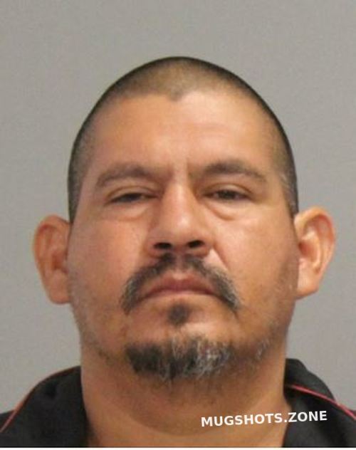 VENTURA FRANK 08/24/2023 Brazos County Mugshots Zone