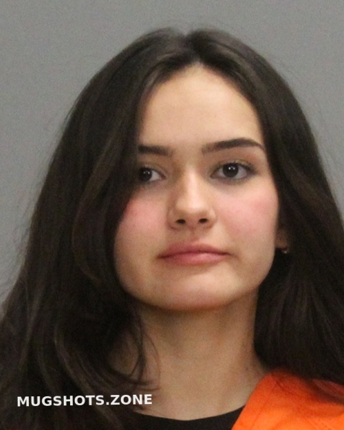 REYES ANDREA 08/27/2023 Brazos County Mugshots Zone