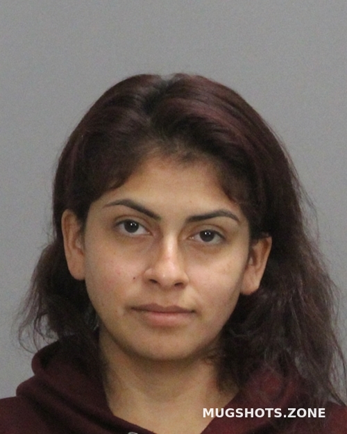 HERNANDEZ MARITZA 11/15/2023 Brazos County Mugshots Zone