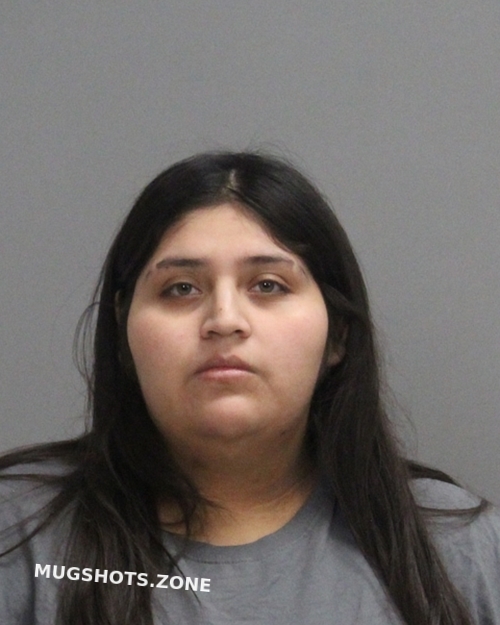 SALAZAR ADRIANA 11/15/2023 - Brazos County Mugshots Zone