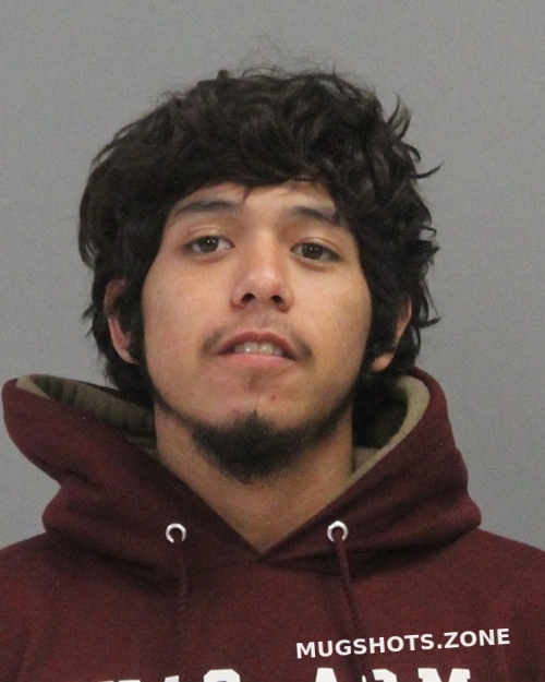 DELEON CHRISTOPHER MICHAEL 11/15/2023 Brazos County Mugshots Zone