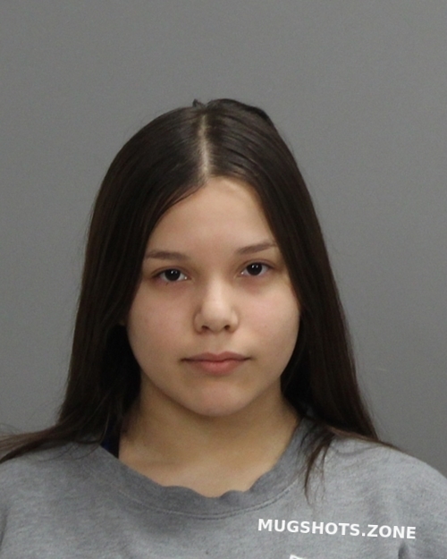 MARTINEZ CLAUDIA ORALIA 12/27/2023 Brazos County Mugshots Zone