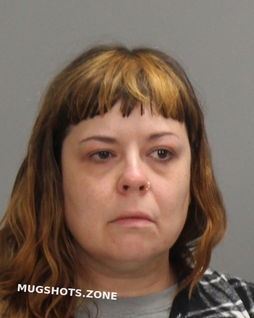 KOROLENKO JENNIFER 02/11/2024 Brazos County Mugshots Zone