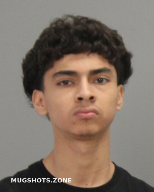RIVERA DAVID 06/04/2024 Brazos County Mugshots Zone