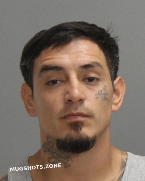 SERNA ALAN DAVID 07/20/2024 Brazos County Mugshots Zone