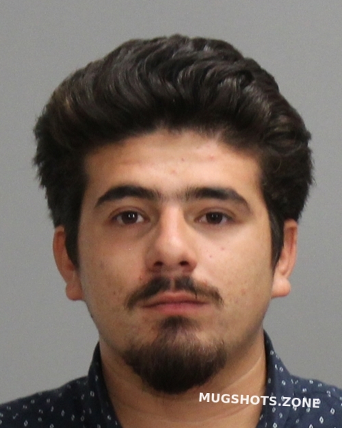 REYES BRENDAN SKOTT 10/20/2024 Brazos County Mugshots Zone