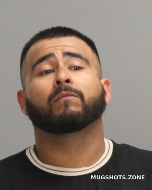 HERNANDEZ ALEX 11/17/2024 Brazos County Mugshots Zone
