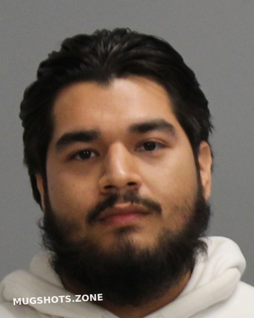 GUADARRAMA DAMIAN 12/07/2024 Brazos County Mugshots Zone