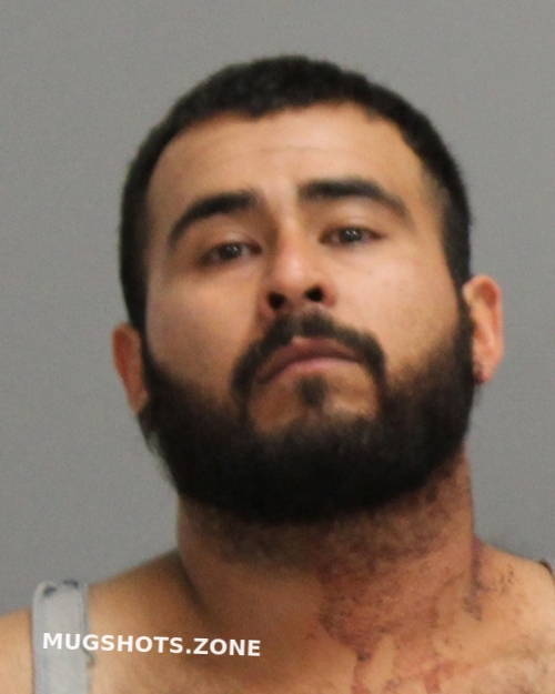 HERNANDEZ ALEX 12/15/2024 Brazos County Mugshots Zone