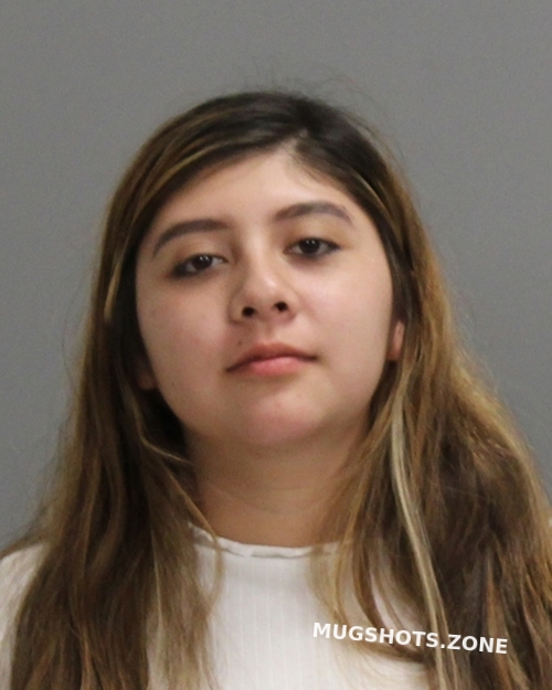 VARGAS ANABEL REYES 01/12/2025 - Brazos County Mugshots Zone