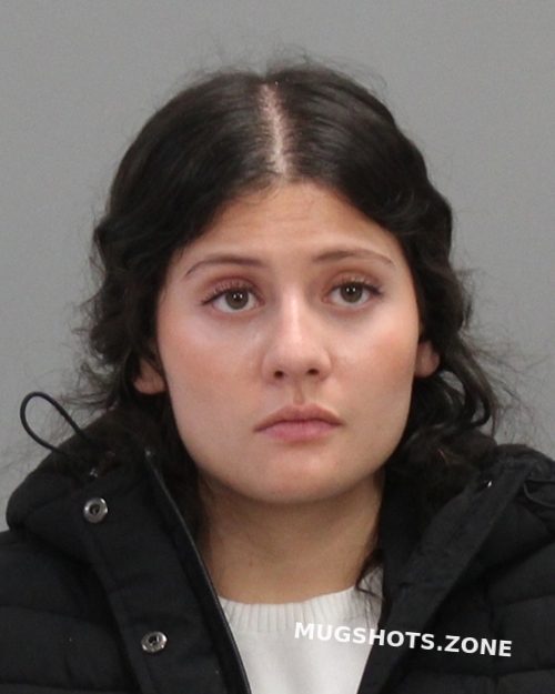 CAMPO ALEXIS GABRIELLA 01/16/2025 Brazos County Mugshots Zone