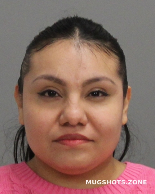 BRAVO BIANCA 02/15/2025 Brazos County Mugshots Zone
