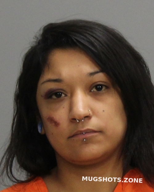 GOMEZ GABRIELA 02/16/2025 Brazos County Mugshots Zone