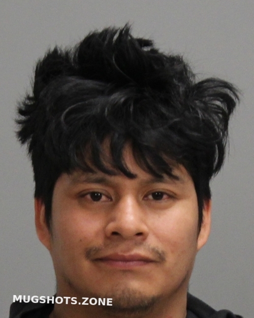 CAXAJ ARTURO 03/08/2025 Brazos County Mugshots Zone