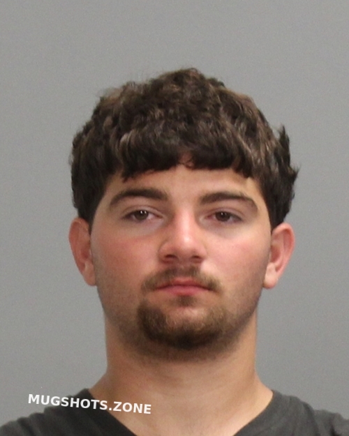 WEBB TRENTON SHANE 03/30/2025 Brazos County Mugshots Zone
