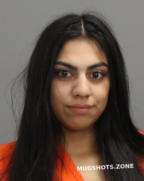 SAENZ KAYLA NICOLE 04/19/2025 - Brazos County Mugshots Zone