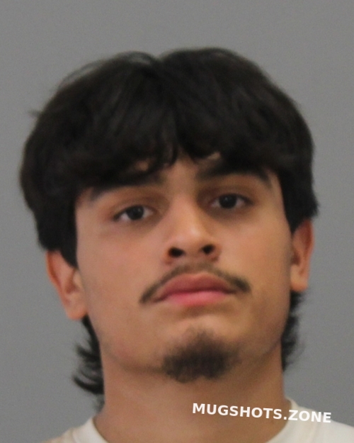 GOMEZ JESUS 05/16/2025 Brazos County Mugshots Zone