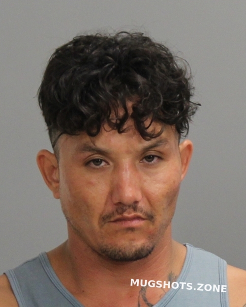 LAWSON JAMES HARVEY 06/25/2025 Brazos County Mugshots Zone