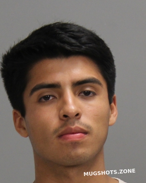 ANDINO RYAN ALEXANDER 10/10/2025 - Brazos County Mugshots Zone