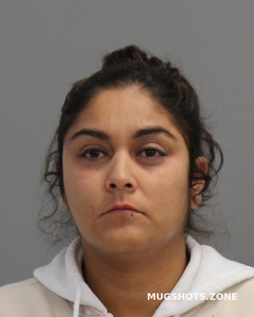 FAJARDO EMILIA 12/14/2025 Brazos County Mugshots Zone